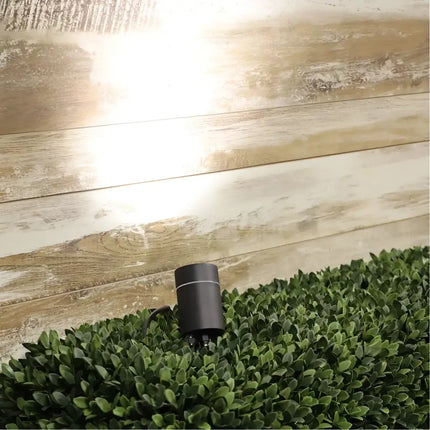 Oriel Accent 12V Garden Spike Light | Black Outdoor Spotlight - Home & Garden > Lighting > Outdoor Lights