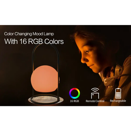 Portable LED ball Decorative Light, AC Charging, 16 RGB Color Changing 26CM Dropli, Decorative Light, a0529034