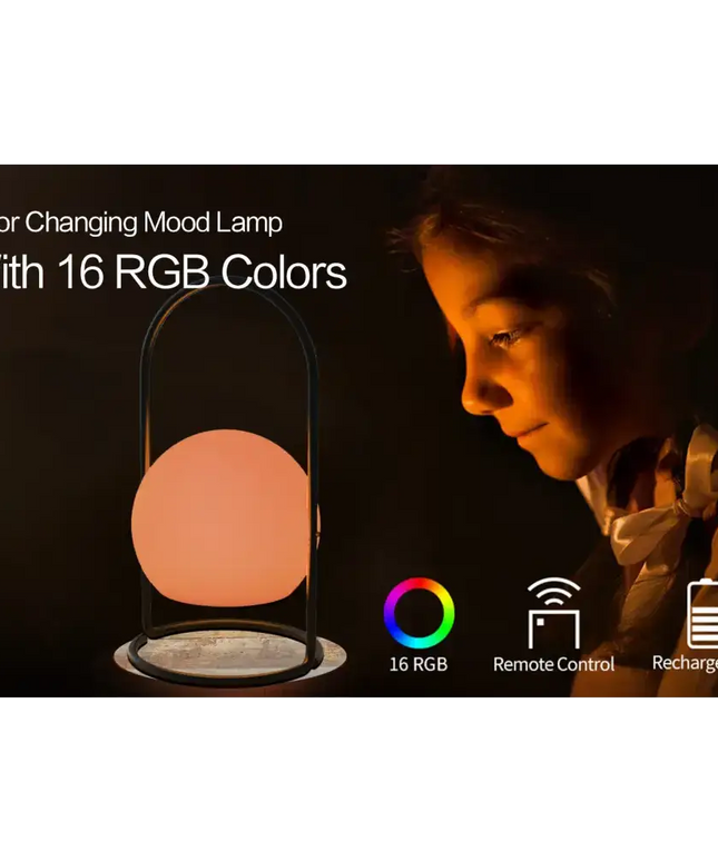 Portable LED ball Decorative Light, AC Charging, 16 RGB Color Changing 26CM Dropli, Decorative Light, a0529034