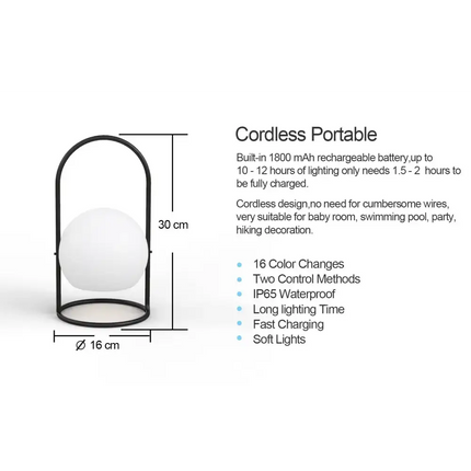 Portable LED ball Decorative Light, AC Charging, 16 RGB Color Changing 26CM Dropli, Decorative Light, a0529034