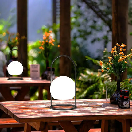 Portable LED ball Decorative Light, AC Charging, 16 RGB Color Changing 26CM Dropli, Decorative Light, a0529034