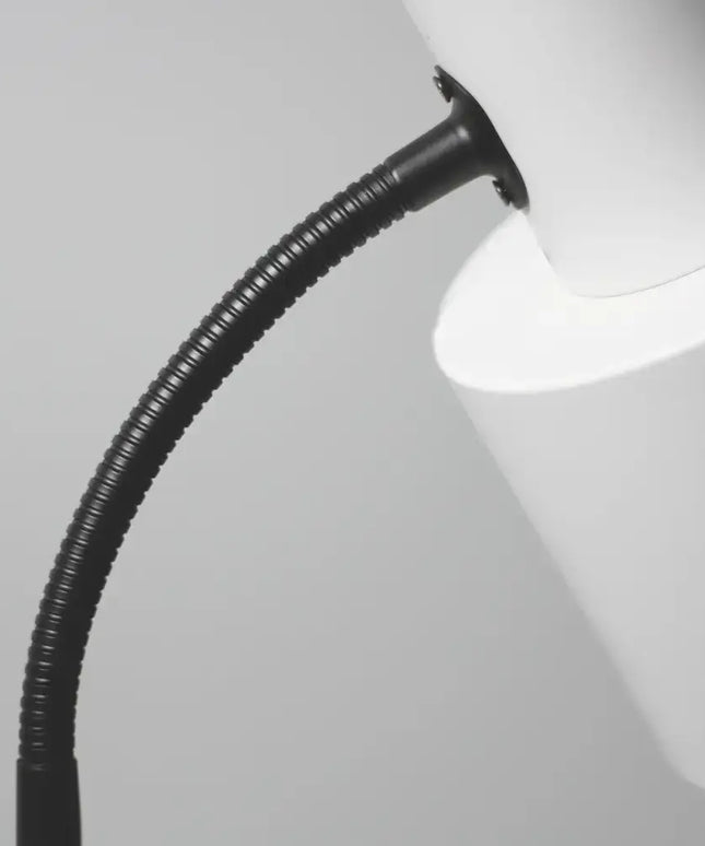 Rabea Floor Lamp - LL-27-0122-Floor Lamps-Lexi Lighting