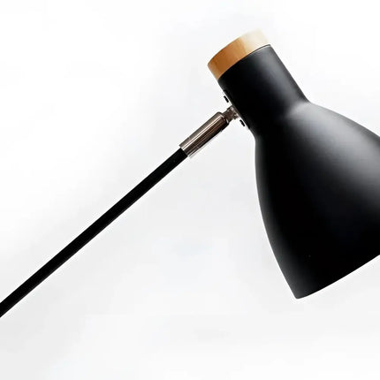 Scandinavian Adjustable Floor Lamp in Black - LL-27-0037B-Floor Lamps-Lexi Lighting