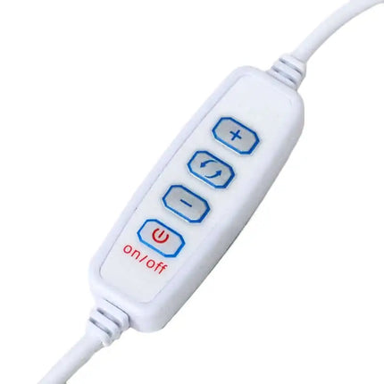 Selenite Fire Bowl With Citrine Rough on Large LED Base - Home & Garden > Home & Garden Others