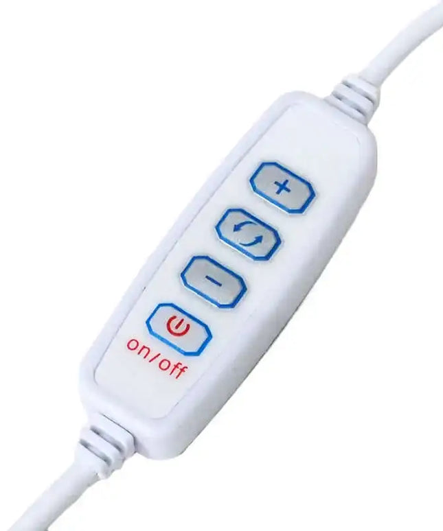 Selenite Fire Bowl With Citrine Rough on Large LED Base - Home & Garden > Home & Garden Others