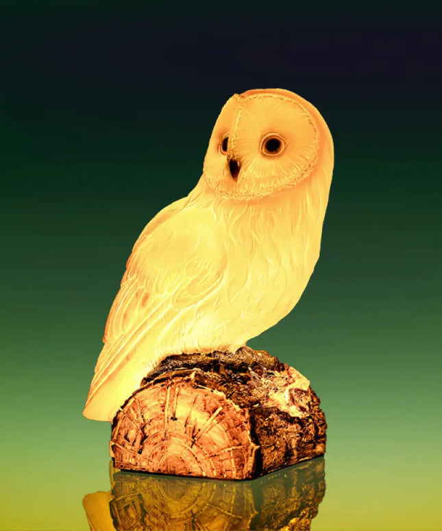 Close-up of realistic owl texture and intricate feather details