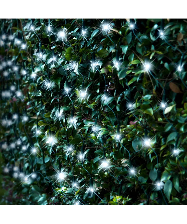 Bushes decorated with white Christmas lights on Solar 150 LED Net Light in multiple colors