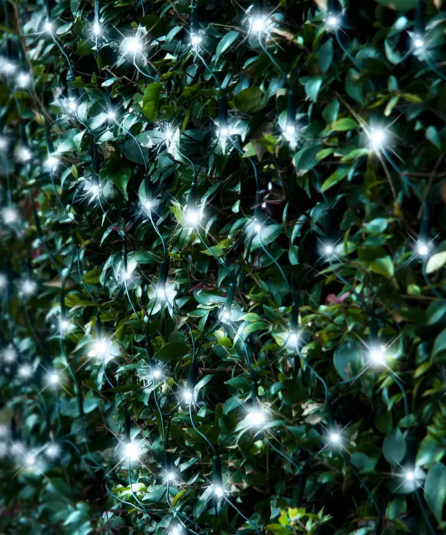 Bushes decorated with white Christmas lights from Solar 150 LED Net Light in multicolor options
