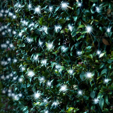 Bushes adorned with white Christmas lights from Solar 150 LED Net Light in four colors
