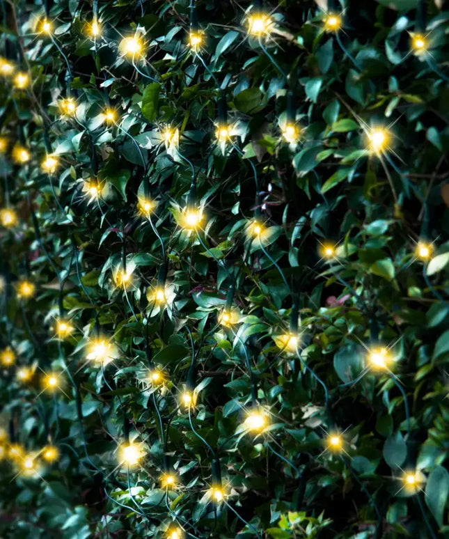 Illuminated string lights on foliage from Solar 250 LED Net Light available in 3 Cool White colors