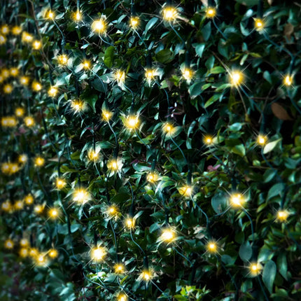 Illuminated string lights on foliage for Solar 250 LED Net Light in three multicolor options