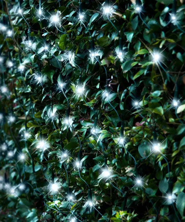 Bushes decorated with solar-powered 250 LED net lights in warm white for festive decoration
