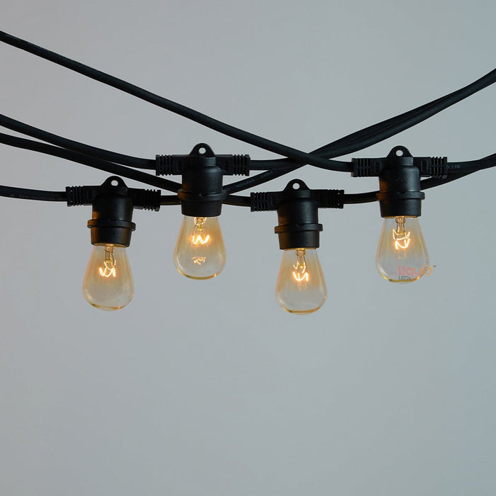 Indoor string 2024 light bulbs