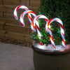 Solar Power Set of 4 Small Candy Cane - 2 Colour Options-Christmas Path Light-Lexi Lighting